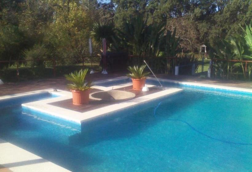 Пансион Guest House Peter Flanders