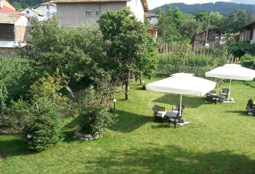 بنسيون Guest House Raffe