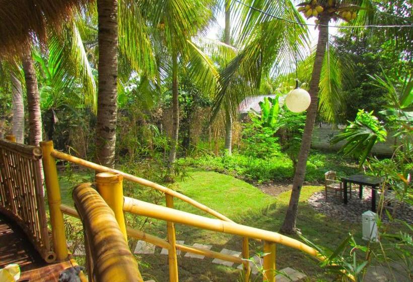 פנסיון Hobbit S House Homestay