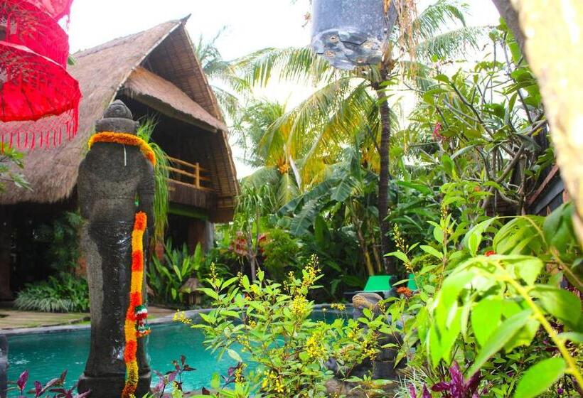 פנסיון Hobbit S House Homestay