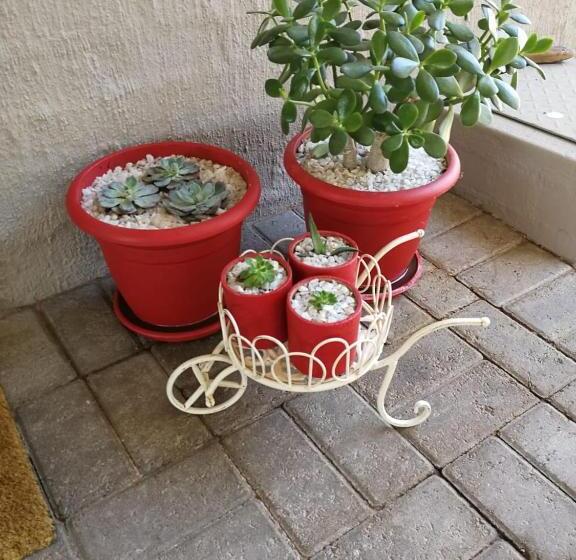 膳宿费 Kalahari Rus