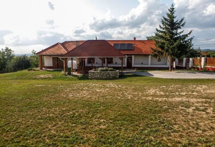 פנסיון Katica Vendégház