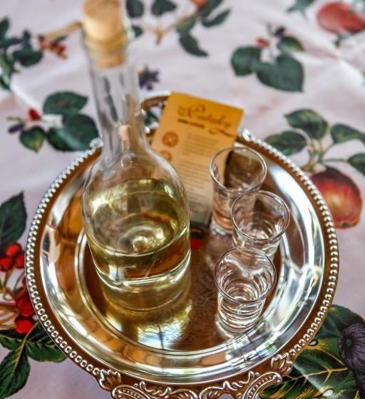 פנסיון Katica Vendégház