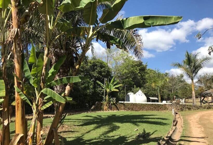 펜션 Pousada E Hostel Caminho De Santiago