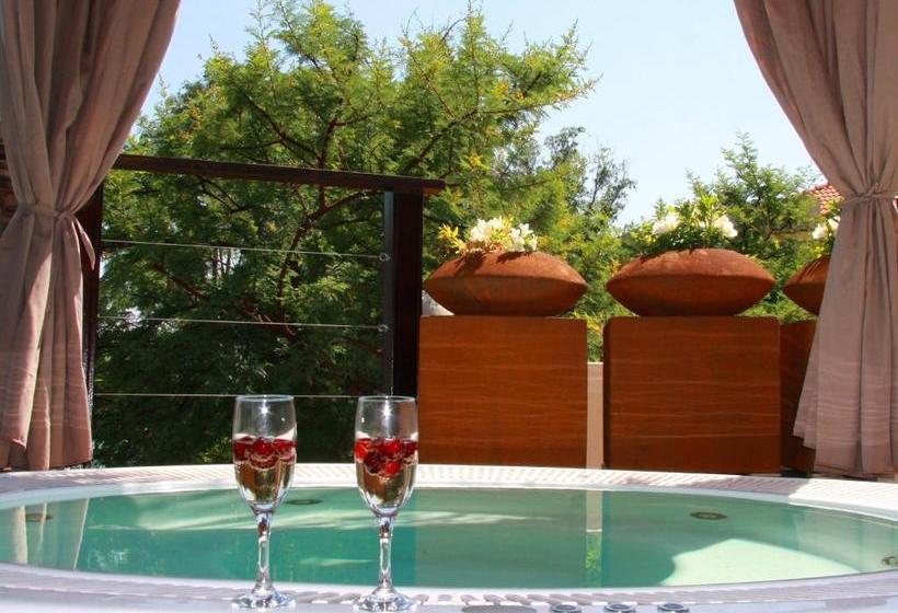 بنسيون The Blue Crane Villa