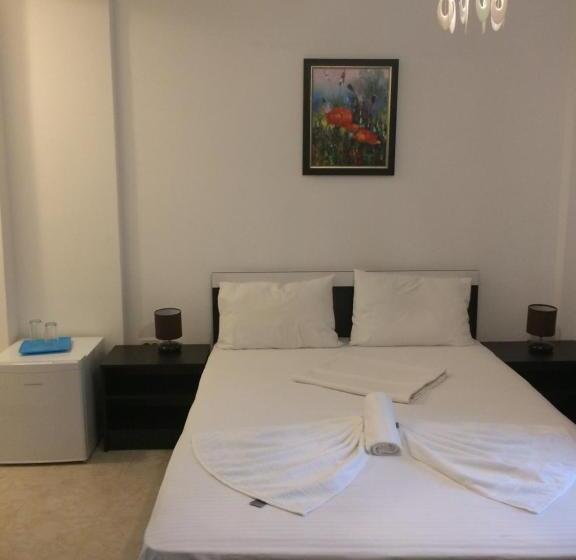 פנסיון Vilele Liliana