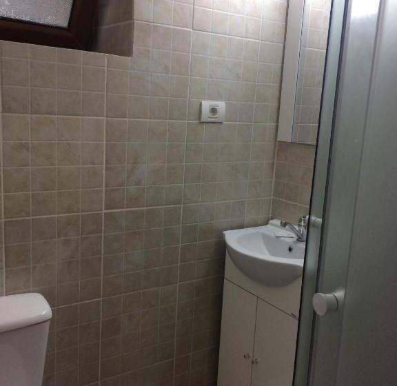 פנסיון Vilele Liliana