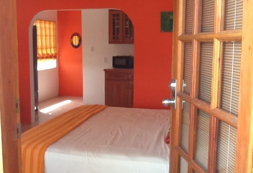 旅馆 Bamboleo Inn Belize