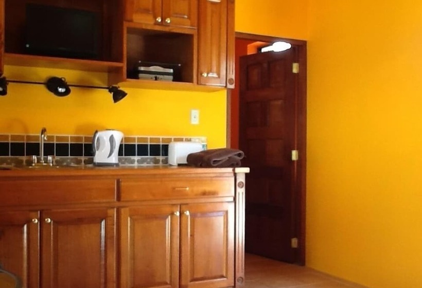فندق صغير Bamboleo Inn Belize