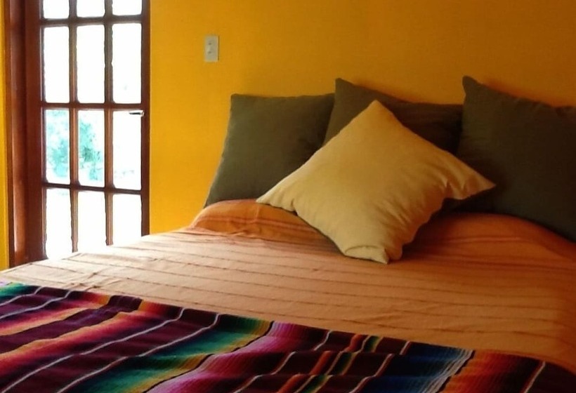 فندق صغير Bamboleo Inn Belize