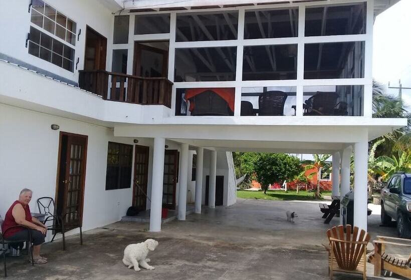 فندق صغير Bamboleo Inn Belize
