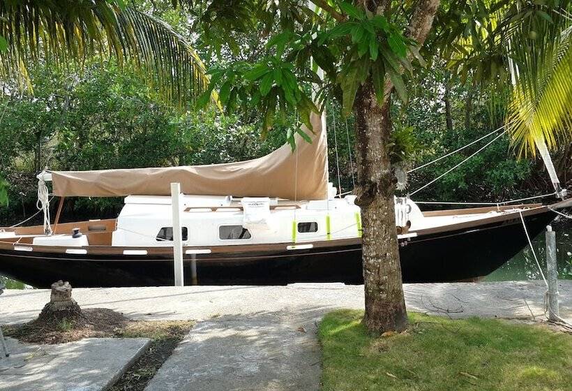 فندق صغير Bamboleo Inn Belize