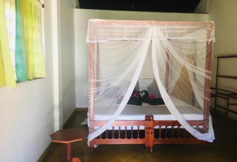 ユースホステル Dilena Beach Inn