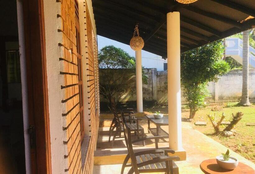 ユースホステル Dilena Beach Inn