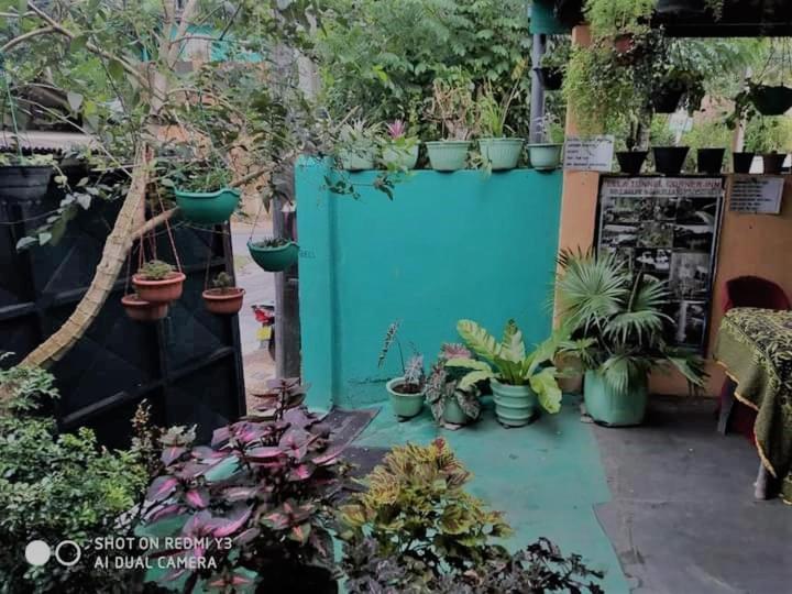 ユースホステル Ella Tunnel Corner Inn