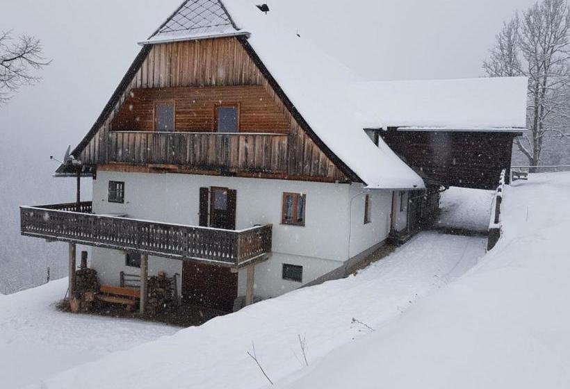 酒店 Leitnerhütte