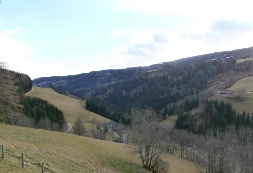 酒店 Leitnerhütte