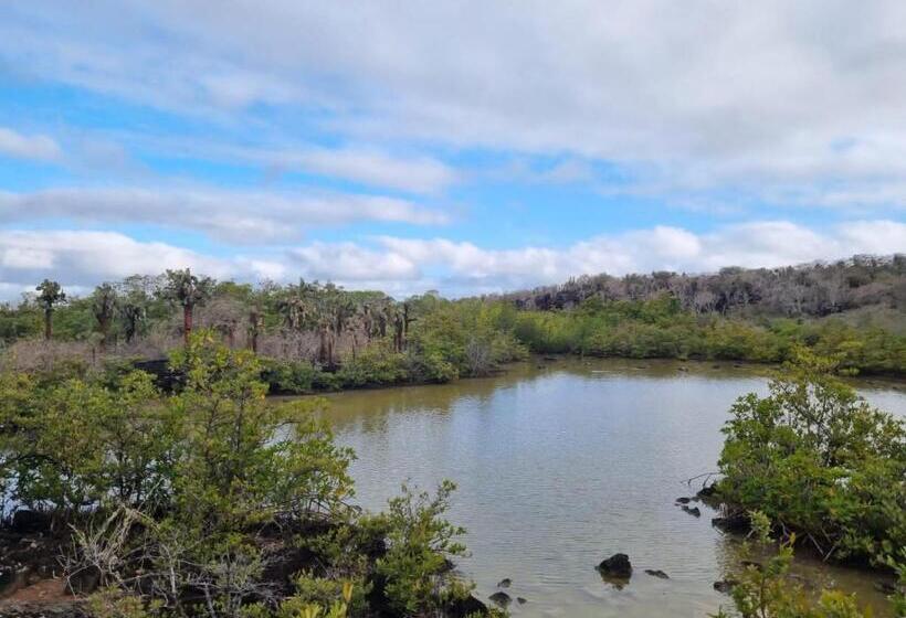 Patty House Galapagos