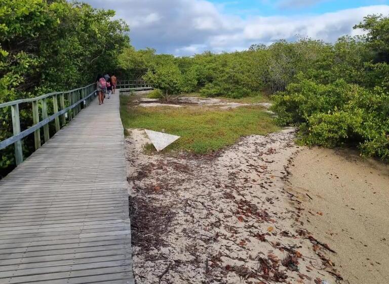 Patty House Galapagos