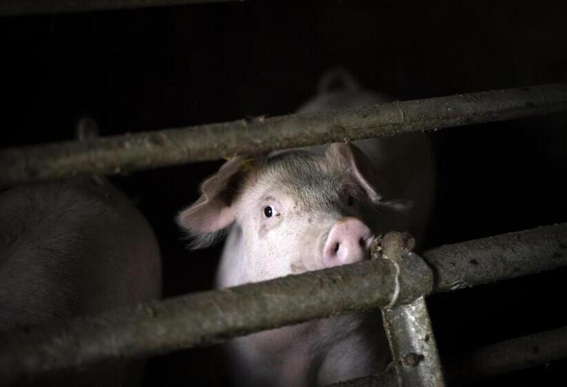 پانسیون Alpengasthof Karalm