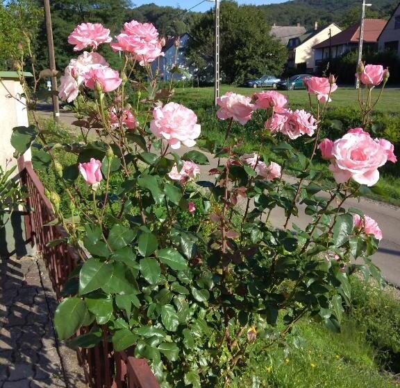 펜션 Bükk Vendeghaz