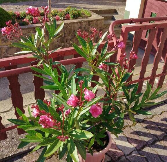 펜션 Bükk Vendeghaz