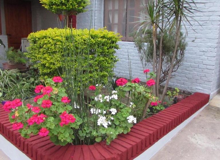 بنسيون Casa Calma