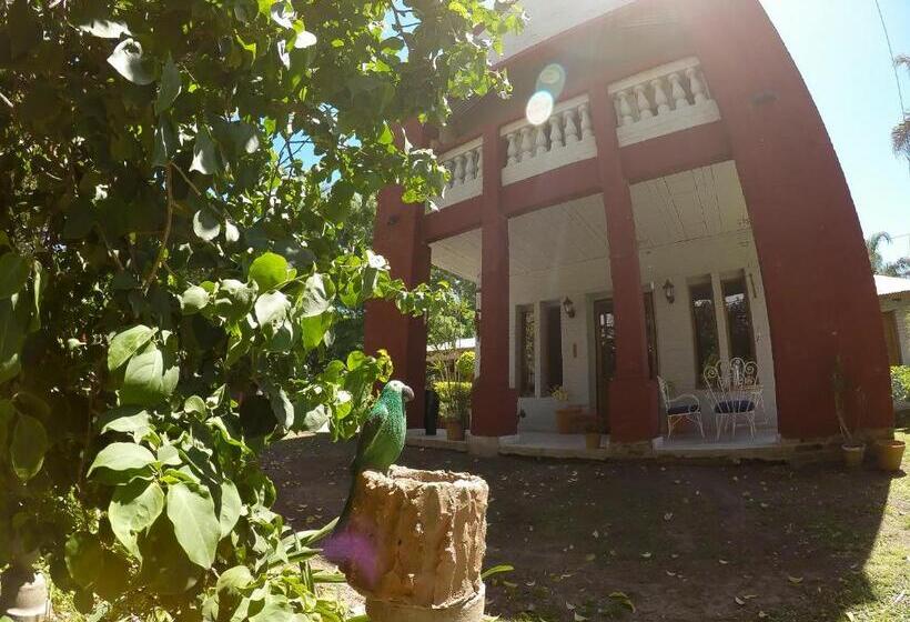 بنسيون Casa Calma