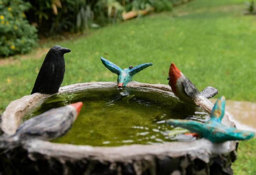 بنسيون Casa Calma