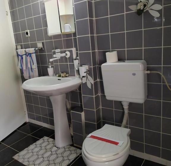 Пансион Gologanova House