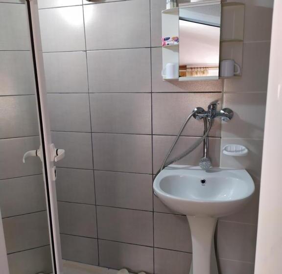 Пансион Gologanova House