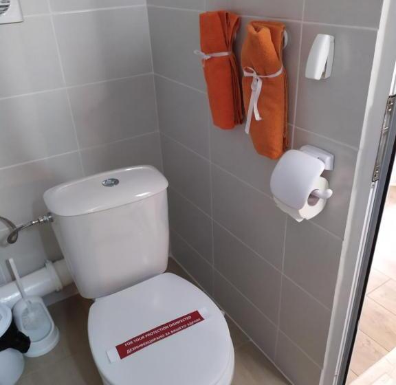 Пансион Gologanova House