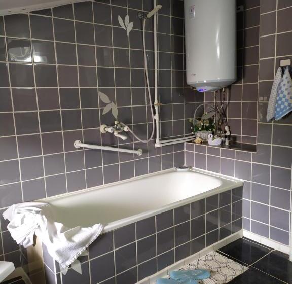 Пансион Gologanova House