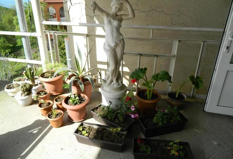 پانسیون Guest House Gidi