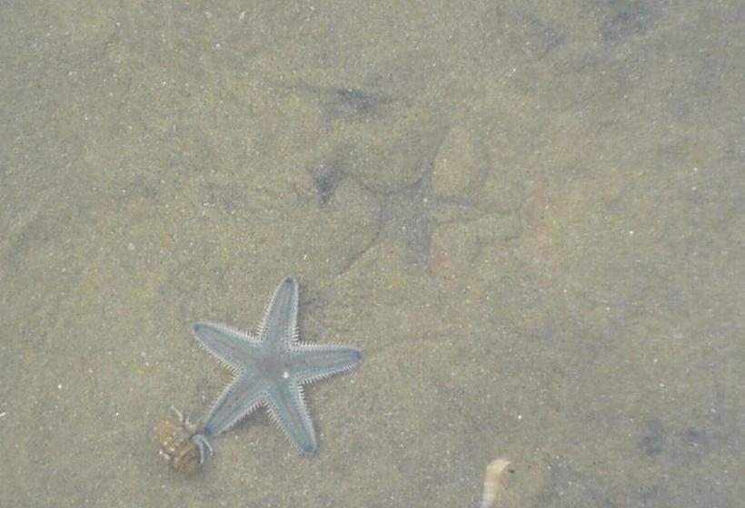 펜션 Guitar Home Stays