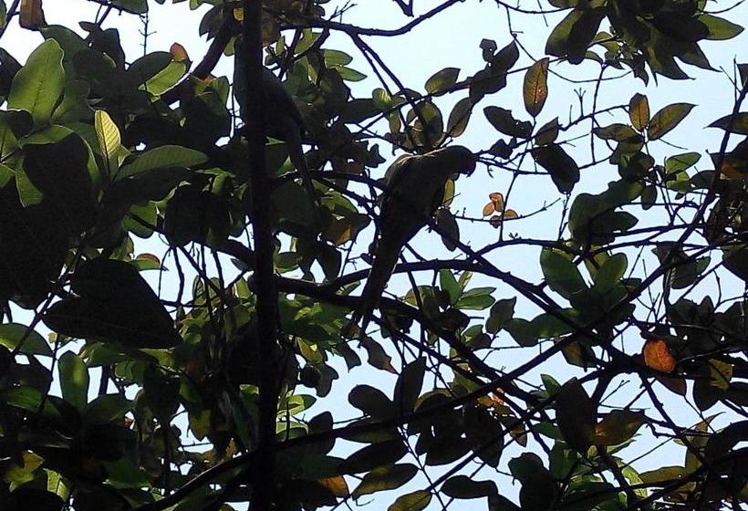 펜션 Guitar Home Stays