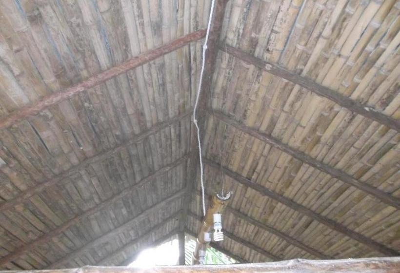 بنسيون Hostal La Libertad