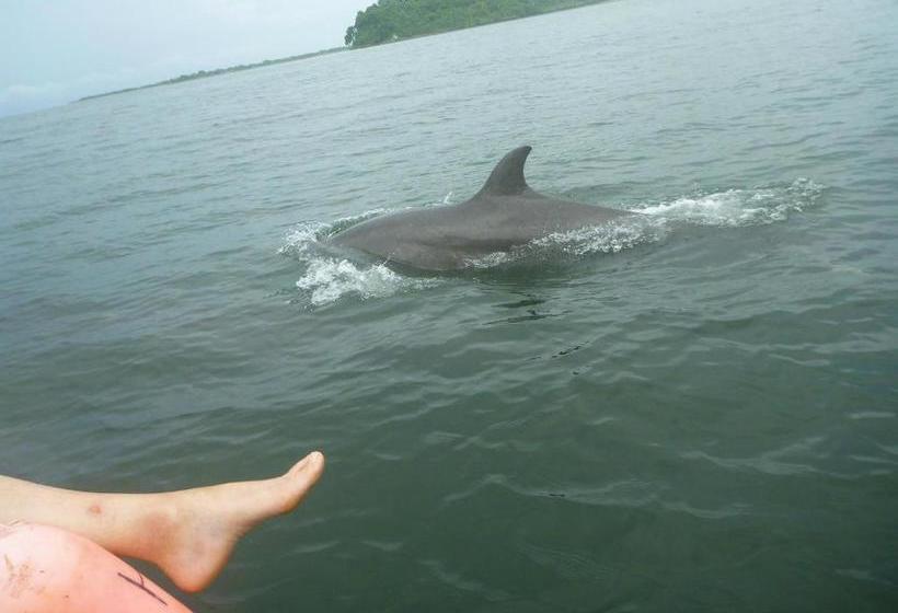 بنسيون Hostal La Libertad