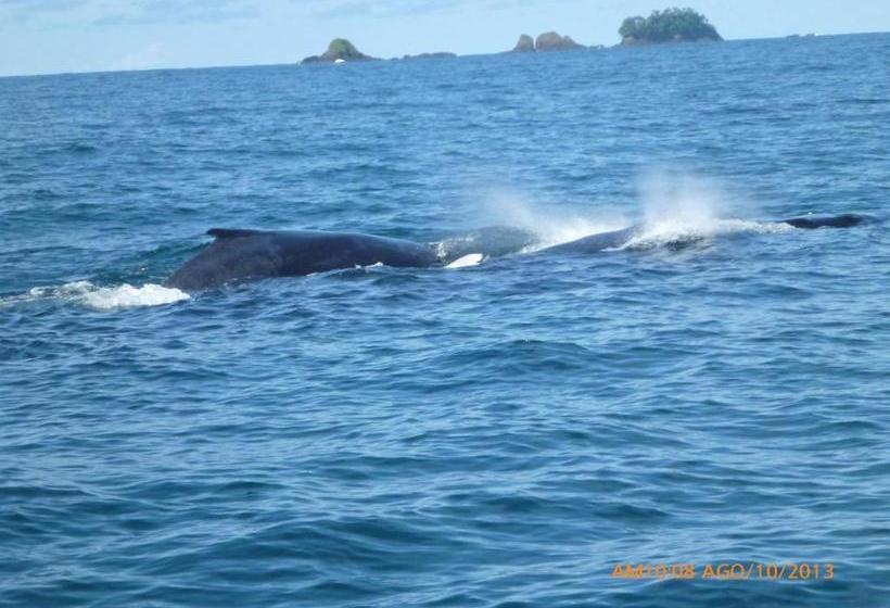 بنسيون Hostal La Libertad