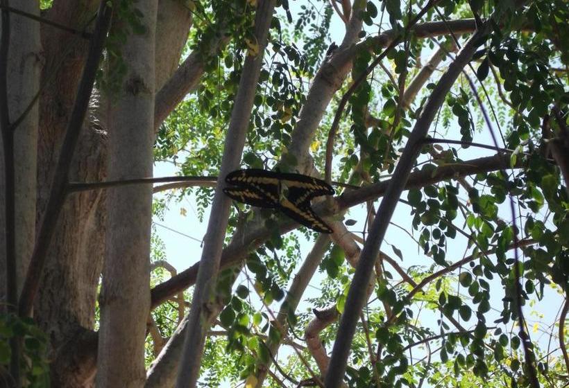 بنسيون Hostal La Libertad