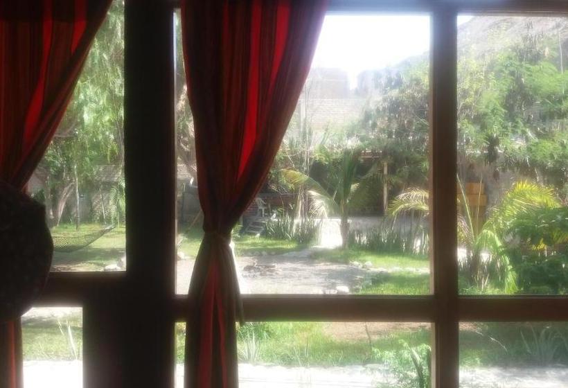 ペンション Hostal Naylamp