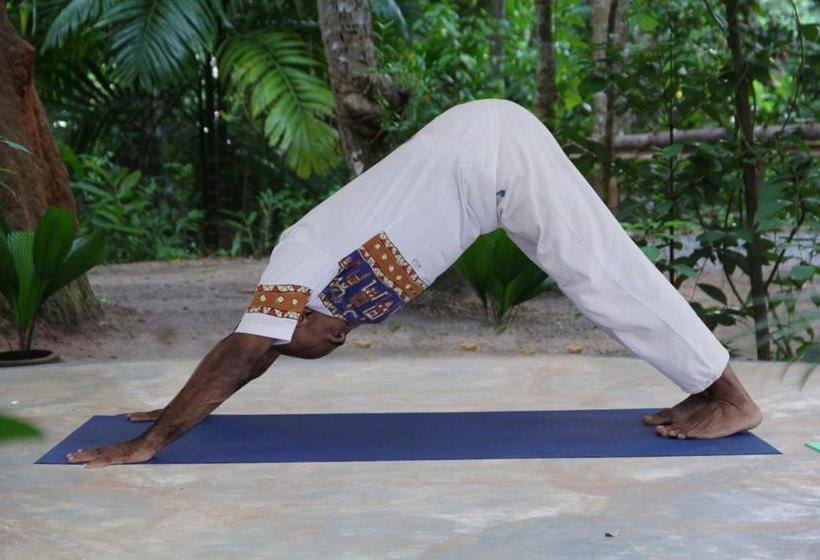 Пансион Kandy Eco Retreat