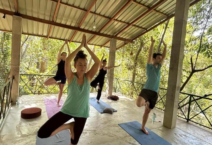 Пансион Kandy Eco Retreat