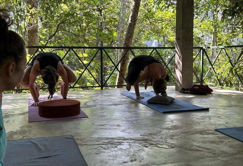 Пансион Kandy Eco Retreat