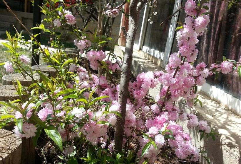 پانسیون Kevin's Trekker Inn