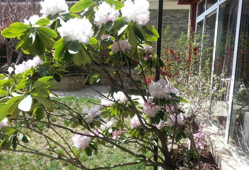 פנסיון Kevin's Trekker Inn