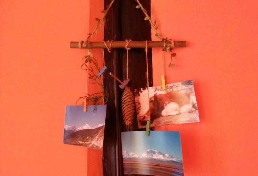 פנסיון Kevin's Trekker Inn