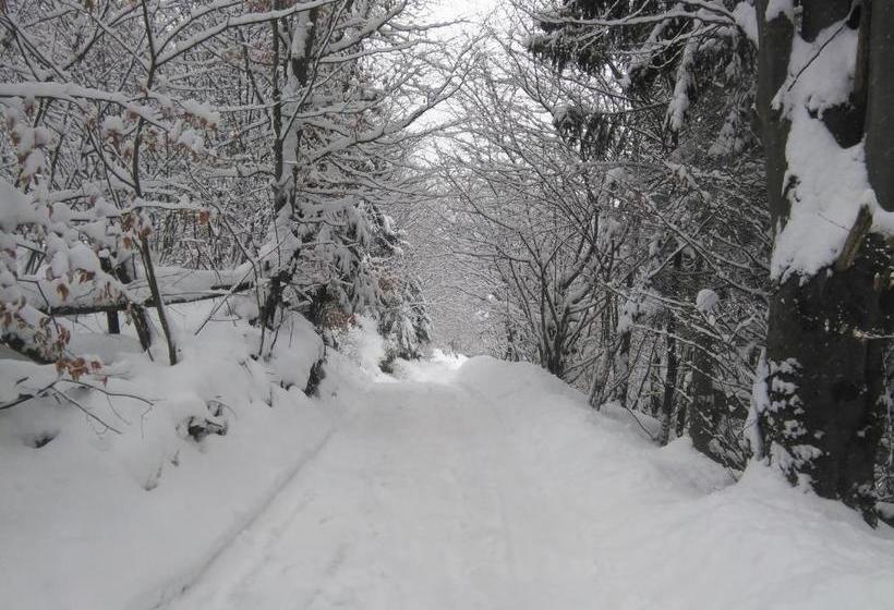 پانسیون Krutogora