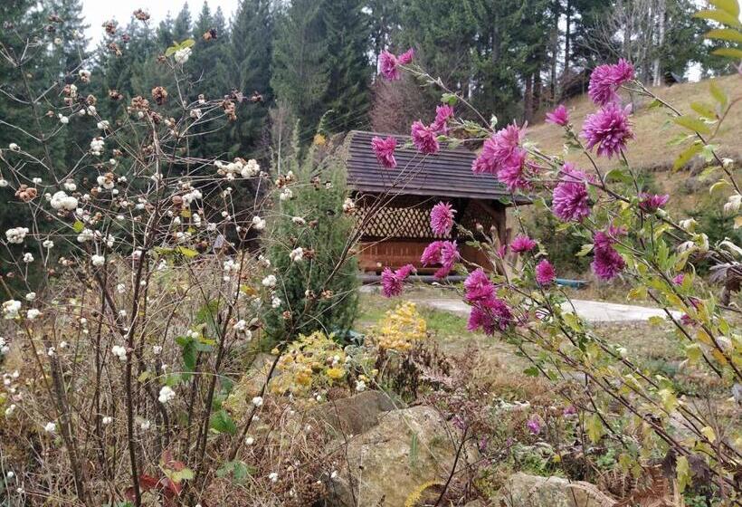 پانسیون Krutogora