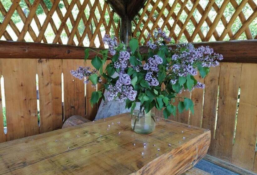 پانسیون Krutogora